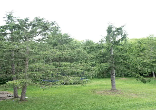 72nd image of 980 Township Road 55, Bellefontaine, OH 43311 | MLS# 226030432