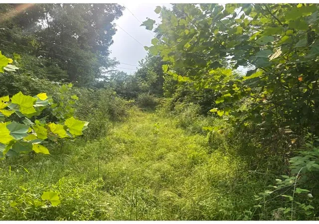Photo 3 of Land for sale at 2415 Audrey Dr W, Newark, OH 43055 | MLS# 226030640 | Listing updated on 2026-08-13