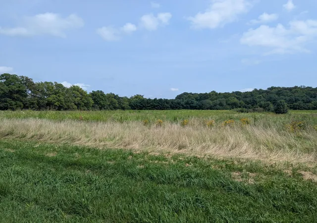 Photo 3 of Land for sale at 5888 Urbana Rd, Springfield, OH 45502 | MLS# 226031369 | Listing updated on 2026-08-18