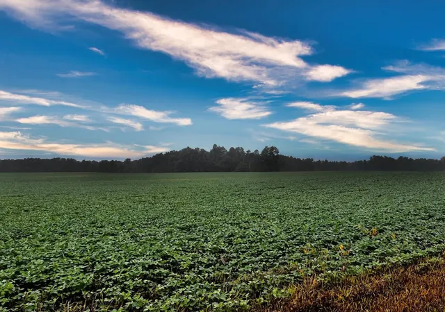 Photo 1 of Land for sale at 0 Township Rd 114, Mount Gilead, OH 43338 | MLS# 226030535 | Listing updated on 2026-08-12
