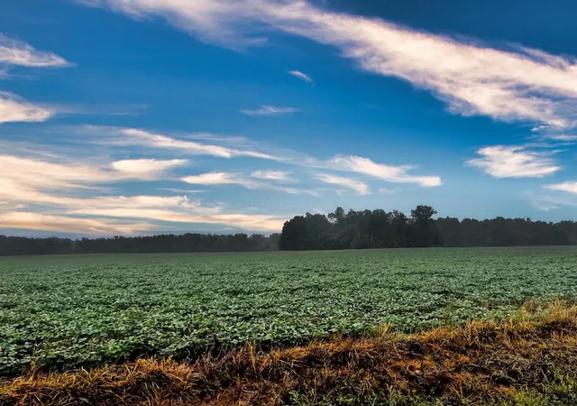 Photo 3 of Land for sale at 0 Township Rd 114, Mount Gilead, OH 43338 | MLS# 226030535 | Listing updated on 2026-08-12