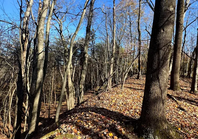 Photo 5 of Land for sale at 808 Nibert Rd, Gallipolis, OH 45631 | MLS# 226030581 | Listing updated on 2026-08-12