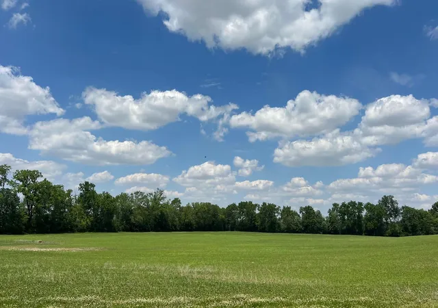 49th image of 1564 Brooke Park Dr, Circleville, OH 43113 | MLS# 226031039