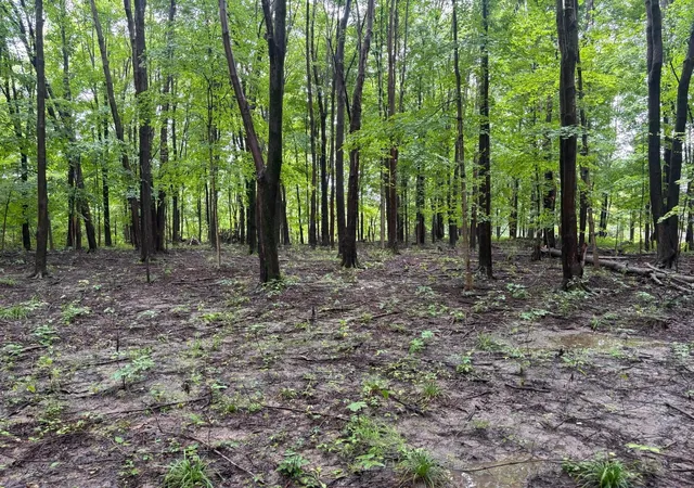 1st image of 0 Orange, Delaware, OH 43015 | MLS# 226031852