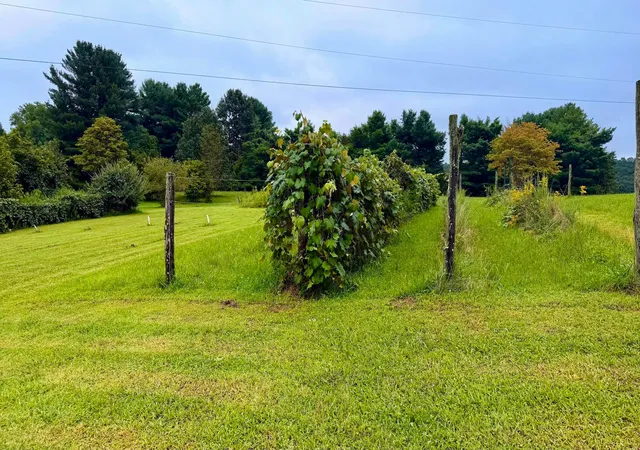 Photo 4 of Single family home for sale at 101 US Hwy 33, Shade, OH 45776 | MLS# 226031266 | Listing updated on 2026-08-18