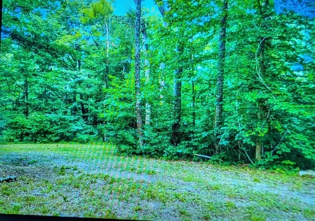 3rd image of 9884 State Rt 93, New Straitsville, OH 43766 | MLS# 226031637