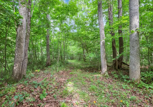 Photo 3 of Land for sale at 00 Maysville Williams Rd #5, Logan, OH 43138 | MLS# 226031560 | Listing updated on 2026-08-21