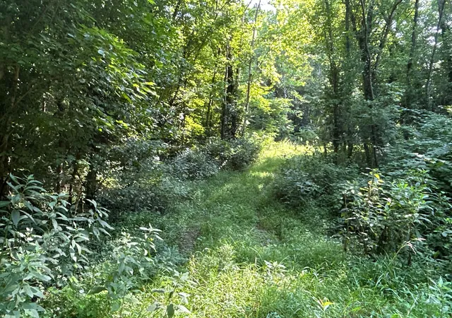 Photo 3 of Land for sale at 0 Belvdere Ln #45631, Gallipolis, OH 45631 | MLS# 226031683 | Listing updated on 2026-08-20