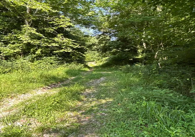 Photo 4 of Land for sale at 0 Belvdere Ln #45631, Gallipolis, OH 45631 | MLS# 226031683 | Listing updated on 2026-08-20