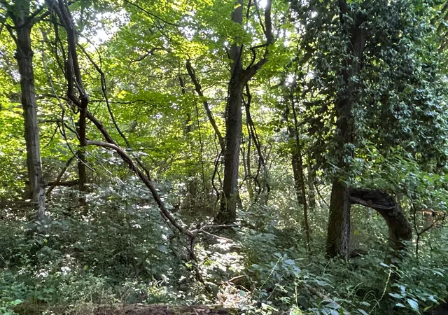Photo 5 of Land for sale at 0 Belvdere Ln #45631, Gallipolis, OH 45631 | MLS# 226031683 | Listing updated on 2026-08-20
