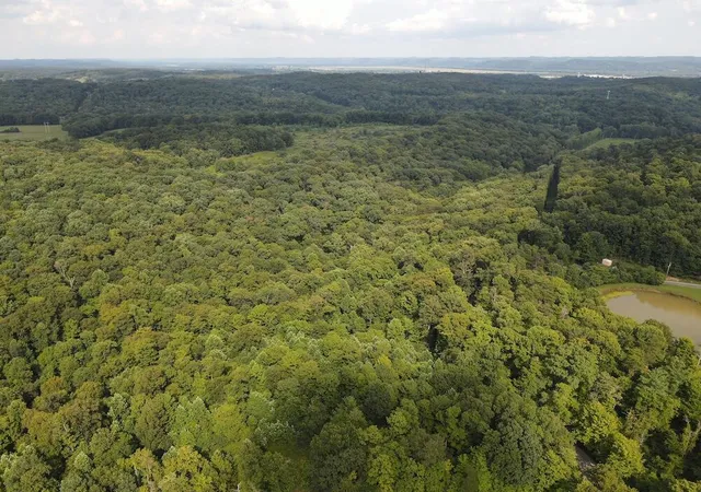 Photo 3 of Land for sale at 45690 Cox Rd, Waverly, OH 45690 | MLS# 226031790 | Listing updated on 2026-08-21