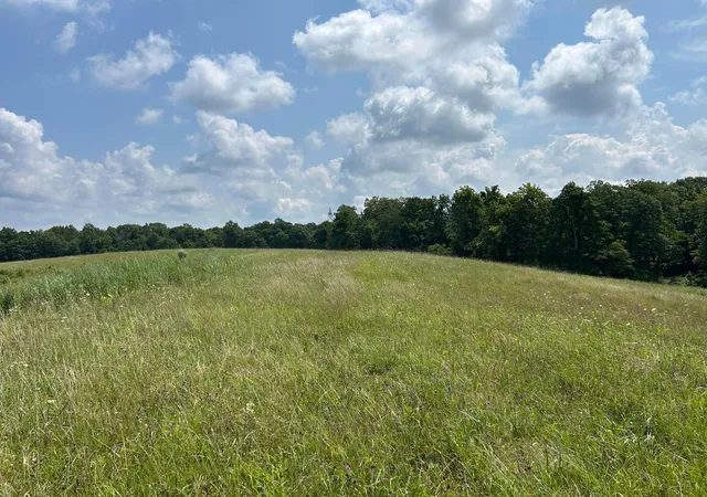 47th image of 0 Mount Olive Rd, South Salem, OH 45681 | MLS# 226031792