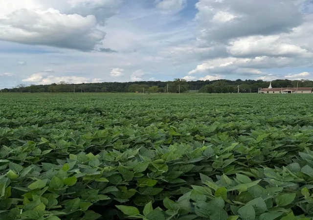1st image of 0 Mt Zwingli Rd Se #Lot D, Bremen, OH 43107 | MLS# 226031836