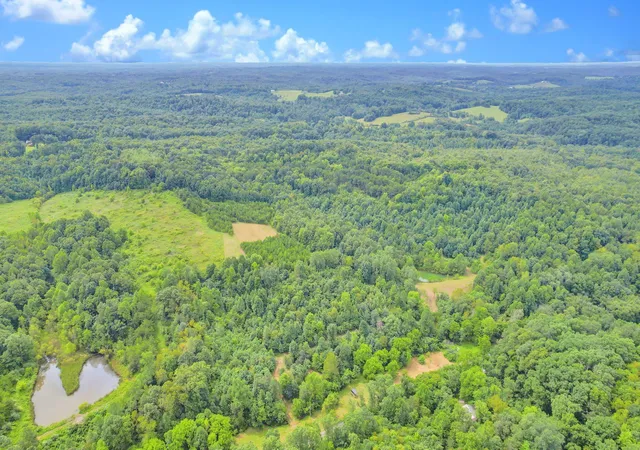 Photo 2 of Land for sale at 1480 Dark Hollow Rd, Jackson, OH 45640 | MLS# 226031879 | Listing updated on 2026-08-21