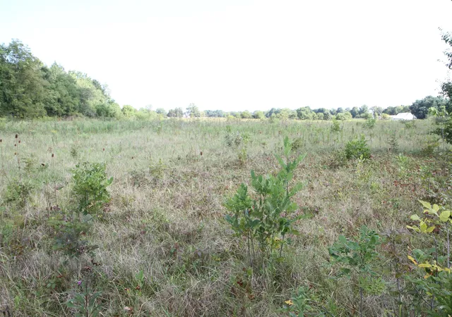 Photo 3 of Land for sale at 4346 Us 42, Delaware, OH 43015 | MLS# 226032150 | Listing updated on 2026-09-07