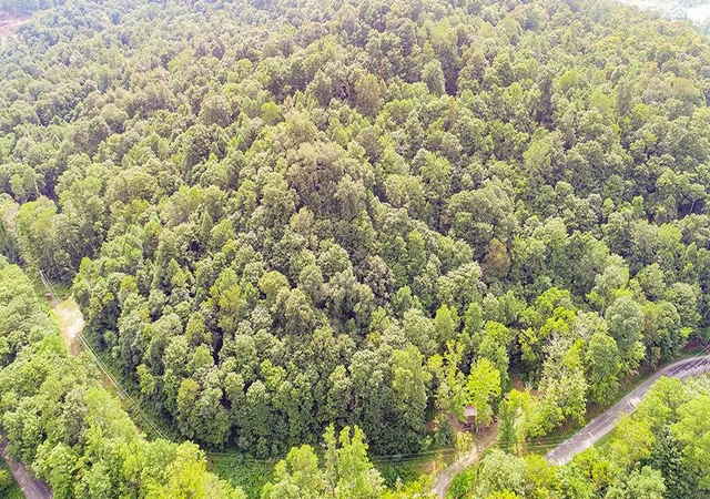 Photo 1 of Land for sale at 182 Sunfish Creek Rd #1, Piketon, OH 45661 | MLS# 226032104 | Listing updated on 2026-10-01