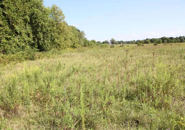 Photo 2 of Land for sale at 4350 Us 42 S, Delaware, OH 43015 | MLS# 226032147 | Listing updated on 2026-09-07