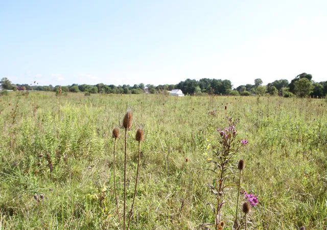 Photo 3 of Land for sale at 4350 Us 42 S, Delaware, OH 43015 | MLS# 226032147 | Listing updated on 2026-09-30