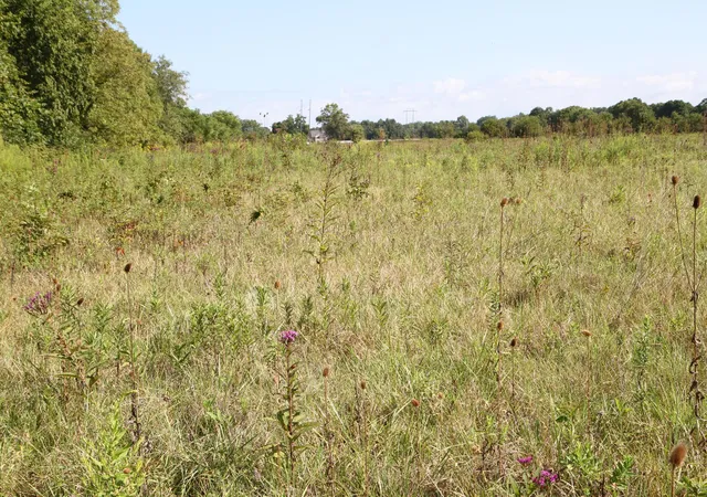 Photo 4 of Land for sale at 4350 Us 42 S, Delaware, OH 43015 | MLS# 226032147 | Listing updated on 2026-09-07
