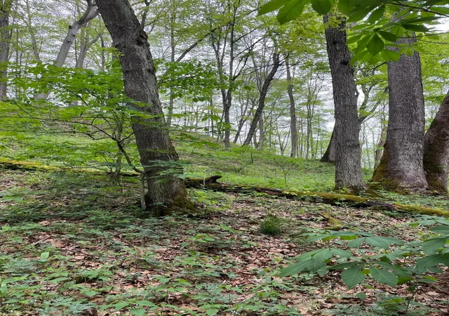 Photo 1 of Land for sale at 41060 Dawley New Pittsburg Rd, Nelsonville, OH 45764 | MLS# 226032127 | Listing updated on 2026-08-24