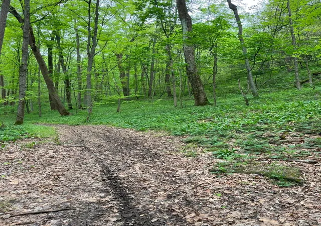 Photo 2 of Land for sale at 41060 Dawley New Pittsburg Rd, Nelsonville, OH 45764 | MLS# 226032127 | Listing updated on 2026-08-24