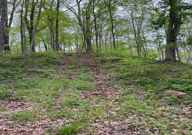 Photo 3 of Land for sale at 41060 Dawley New Pittsburg Rd, Nelsonville, OH 45764 | MLS# 226032127 | Listing updated on 2026-08-24