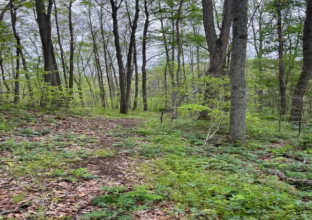 Photo 4 of Land for sale at 41060 Dawley New Pittsburg Rd, Nelsonville, OH 45764 | MLS# 226032127 | Listing updated on 2026-08-24