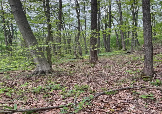 Photo 5 of Land for sale at 41060 Dawley New Pittsburg Rd, Nelsonville, OH 45764 | MLS# 226032127 | Listing updated on 2026-08-24