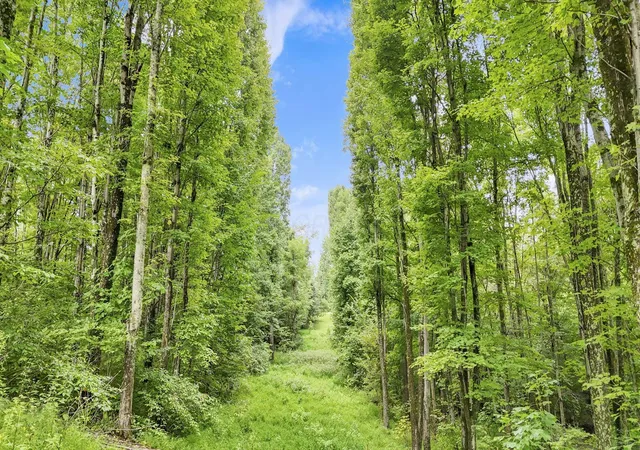 Photo 5 of Land for sale at 42457 Calaway Rd, Coolville, OH 45723 | MLS# 226032384 | Listing updated on 2026-08-26