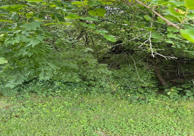 Photo 3 of Land for sale at 0 Maple St #Lot 2, Urbancrest, OH 43123 | MLS# 226032689 | Listing updated on 2026-09-04
