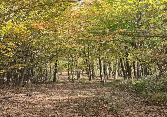 Photo 2 of Land for sale at 5831 Township Hwy 105, Mount Gilead, OH 43338 | MLS# 226032717 | Listing updated on 2026-08-29