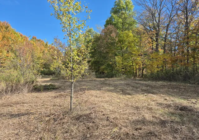 Photo 3 of Land for sale at 5831 Township Hwy 105, Mount Gilead, OH 43338 | MLS# 226032717 | Listing updated on 2026-08-29