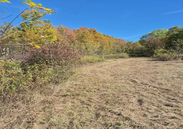Photo 4 of Land for sale at 5831 Township Hwy 105, Mount Gilead, OH 43338 | MLS# 226032717 | Listing updated on 2026-08-29