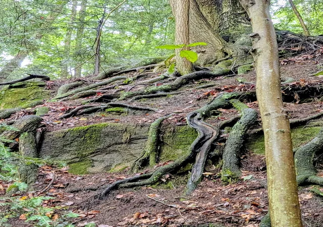 Photo 2 of Land for sale at 24639 Ohio 180, Rockbridge, OH 43149 | MLS# 226032990 | Listing updated on 2026-08-30
