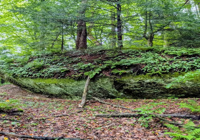 Photo 3 of Land for sale at 24639 Ohio 180, Rockbridge, OH 43149 | MLS# 226032990 | Listing updated on 2026-08-30
