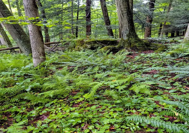 Photo 4 of Land for sale at 24639 Ohio 180, Rockbridge, OH 43149 | MLS# 226032990 | Listing updated on 2026-08-30