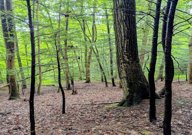 Photo 5 of Land for sale at 24639 Ohio 180, Rockbridge, OH 43149 | MLS# 226032990 | Listing updated on 2026-08-30