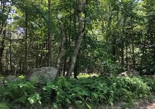 Photo 1 of Land for sale at 0 Spring Grove Rd, Chepachet, RI 02814 | MLS# 1356922 | Listing updated on 2026-08-19