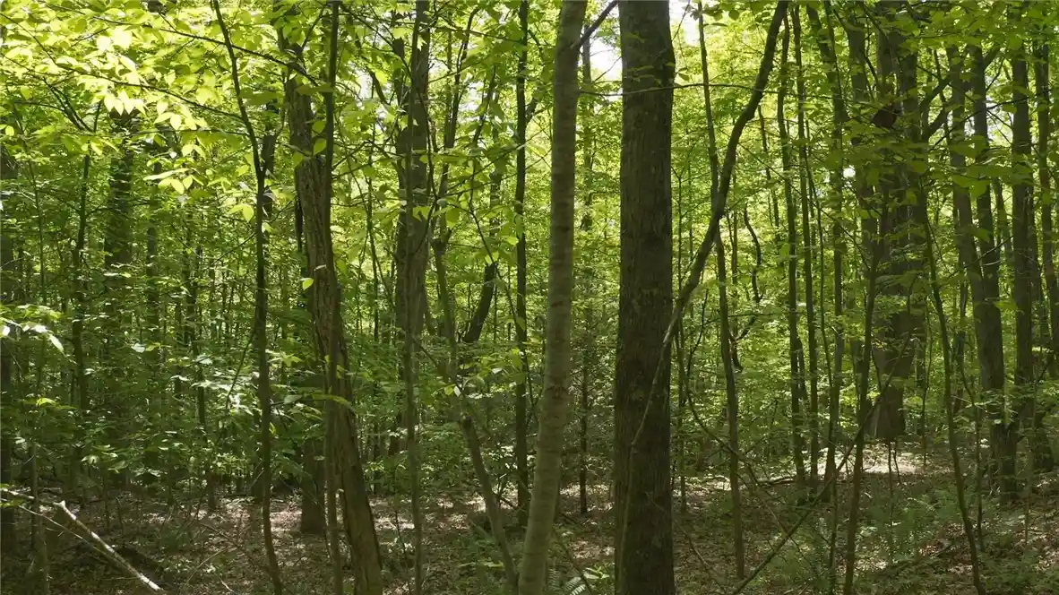 Photo 1 of Land for sale at 0 Christina Way, North Smithfield, RI 02896 | MLS# 1360886 | Listing updated on 2026-10-30