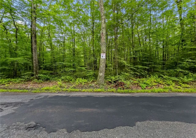 Photo 4 of Land for sale at 229 Reservoir Rd, Pascoag, RI 02859 | MLS# 1388189 | Listing updated on 2026-06-19
