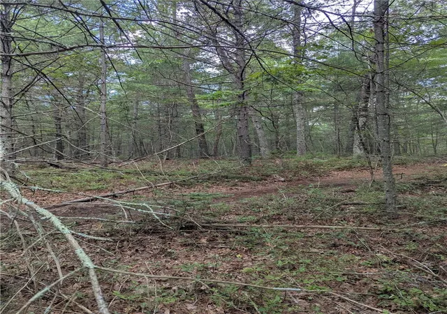 3rd image of 0 Douglas Pike, North Smithfield, RI 02896 | MLS# 1397220