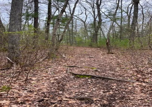 Photo 4 of Land for sale at 93 Aldrich Rd, North Scituate, RI 02857 | MLS# 1404512 | Listing updated on 2026-07-28