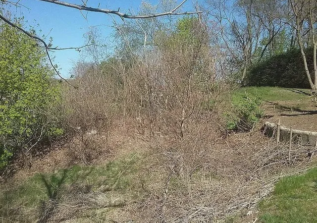 3rd image of 0 Plainfield Pike, Cranston, RI 02920 | MLS# 1408547