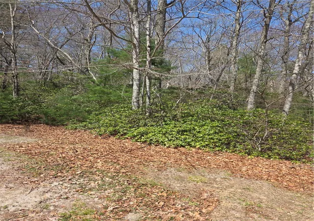 Homes for sale in Hopkinton, RI | 0 Nadia Ct, Hopkinton, RI 02832 | MLS# 1410128