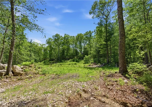 Homes for sale in West Greenwich, RI | 234 John Potter Rd, West Greenwich, RI 02817 | MLS# 1413295