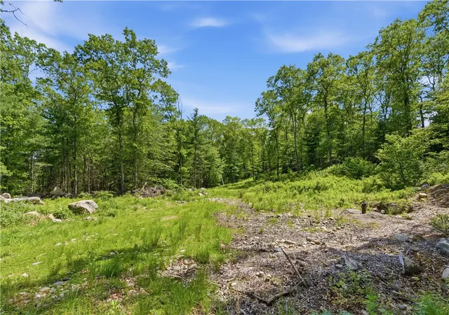 Homes for sale in West Greenwich, RI | 234 John Potter Rd, West Greenwich, RI 02817 | MLS# 1413295