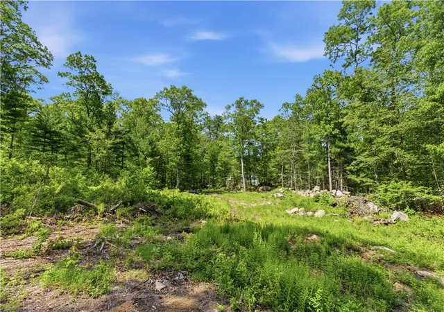 Homes for sale in West Greenwich, RI | 234 John Potter Rd, West Greenwich, RI 02817 | MLS# 1413295