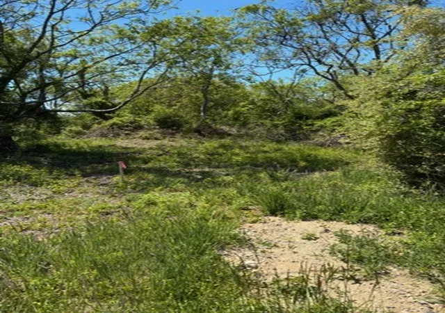 1st image of 0 Lee's Ridge Rd, Block Island, RI 02807 | MLS# 1414549