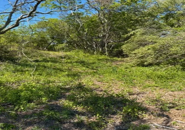 3rd image of 0 Lee's Ridge Rd, Block Island, RI 02807 | MLS# 1414549