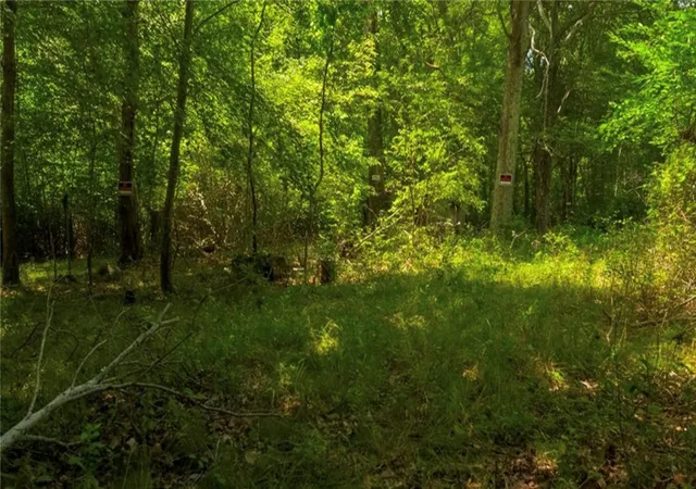 2nd image of 0 Lawton Foster Rd, Hopkinton, RI 02833 | MLS# 1414602